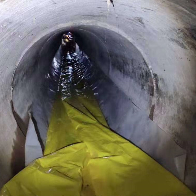 鄂伦春管道光固化修复